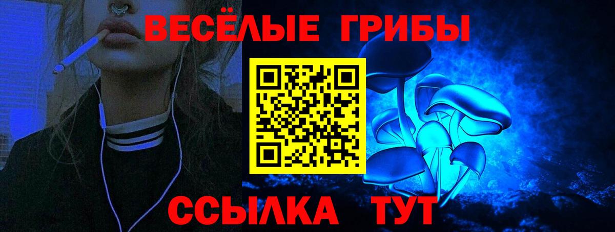 Псилоцибиновые грибы Cubensis Мариинск